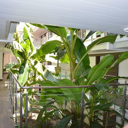 Studio Zenazur Apartment อองทีบส์ ภายนอก รูปภาพ